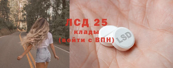 прущие грибы Богородск