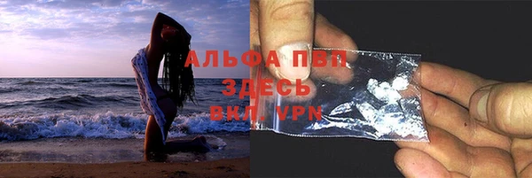 прущие грибы Богородск