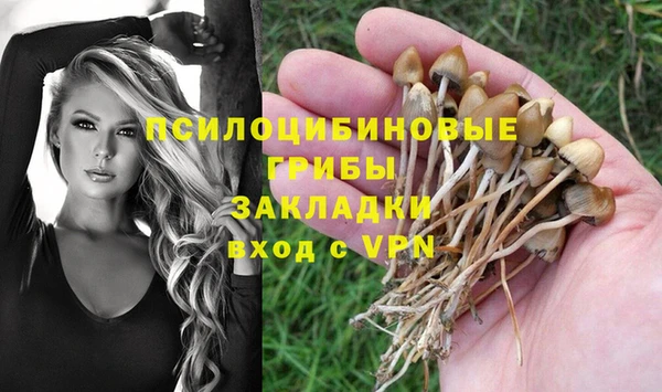 трава Богданович