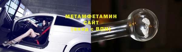 прущие грибы Богородск