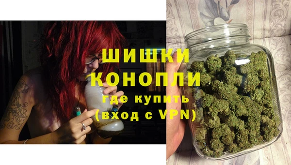 спайс Богородицк