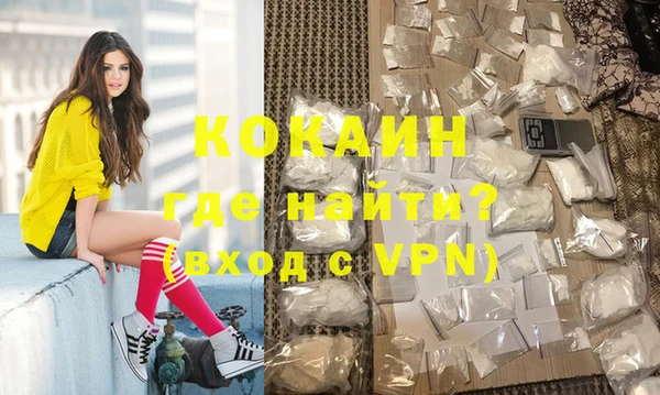 прущие грибы Богородск
