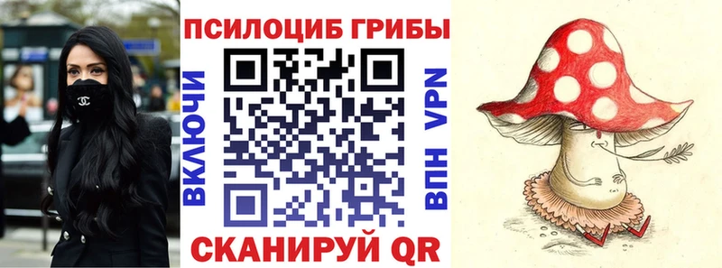 Галлюциногенные грибы Psilocybe  mega   Котово  цена  
